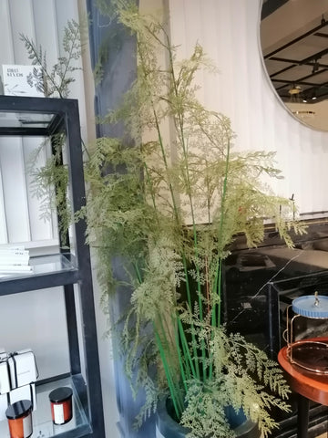 Artificial Fern Plant